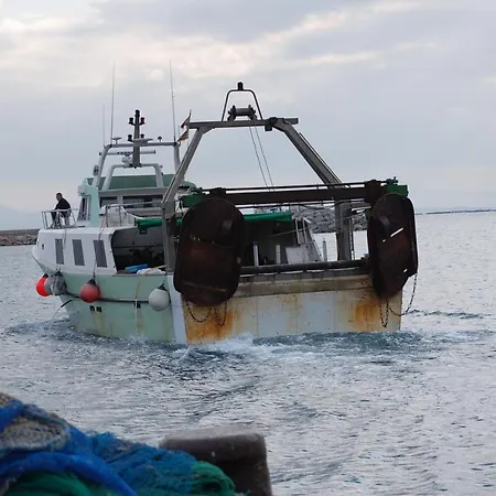 1089 Puig Rom - Apivend Immo *