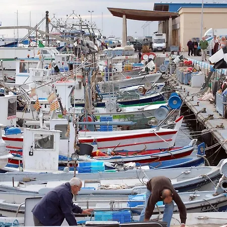 1089 Puig Rom - Apivend Immo *