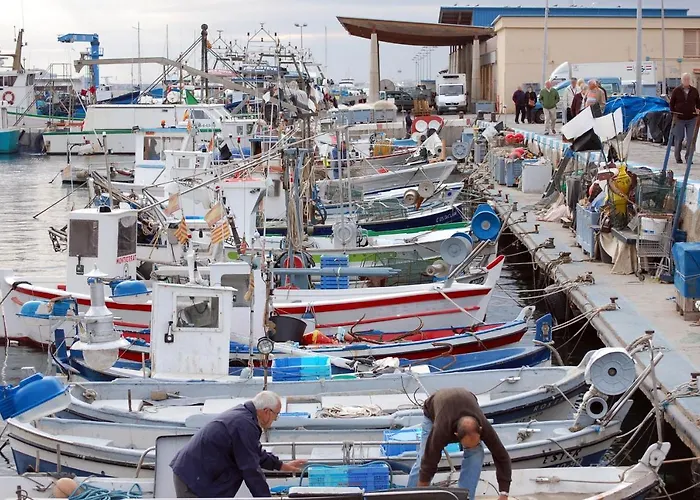 1089 Puig Rom - Apivend Immo *